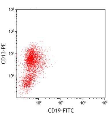 Fig 3D CD13 vs CD19